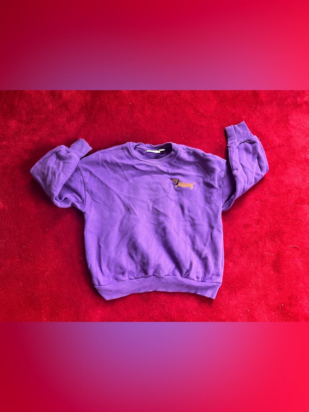 Mini Rodini Embroidered Dog Purple Sweatshirt Size 8 UNISEX